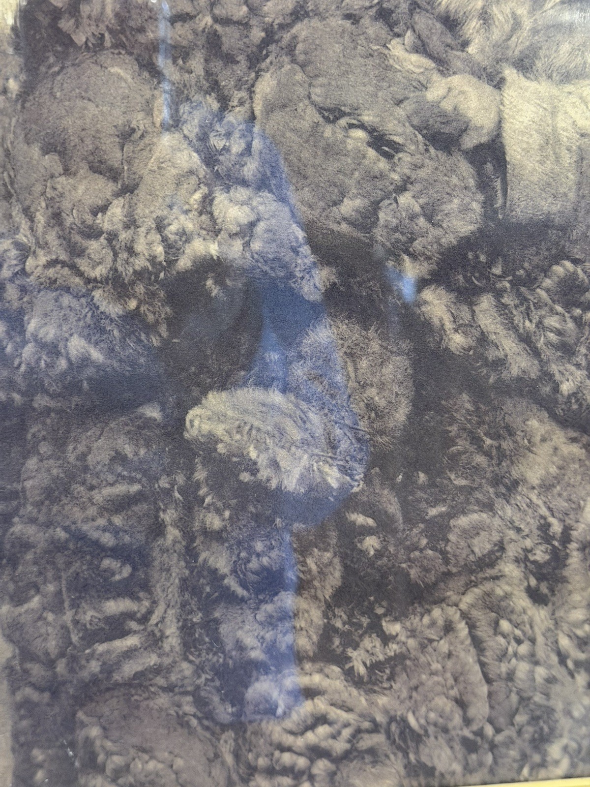 VINTAGE EDWARD CURTIS PHOTO / WOMAN & CHILD NUNIVAK/ ALASKA INUIT, ESKIMO