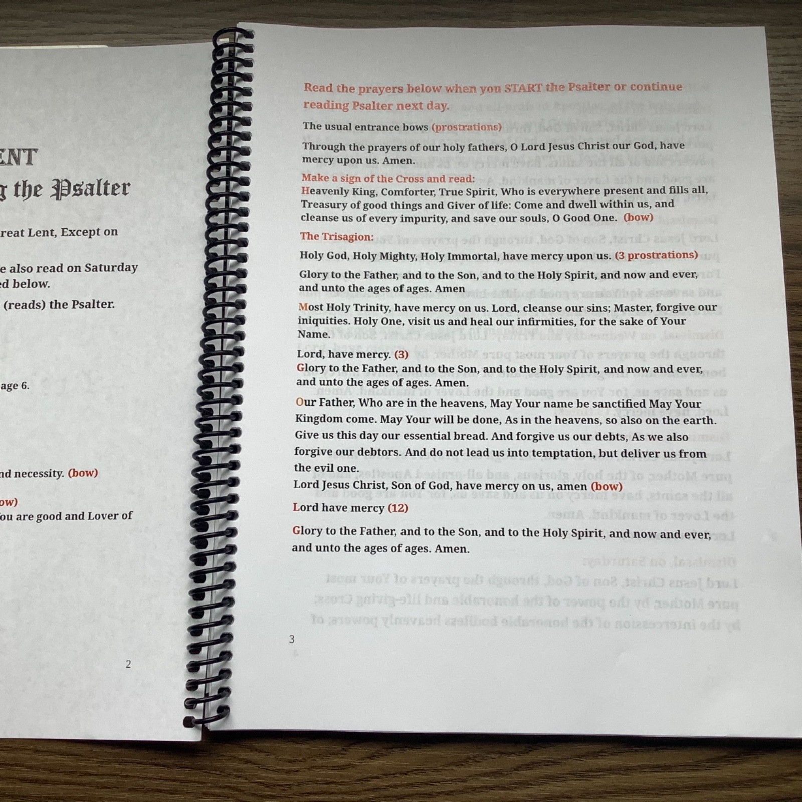Orthodox Great Lent Psalter Repentance Pentinent Troparia Prayers 8X11 Modern EN