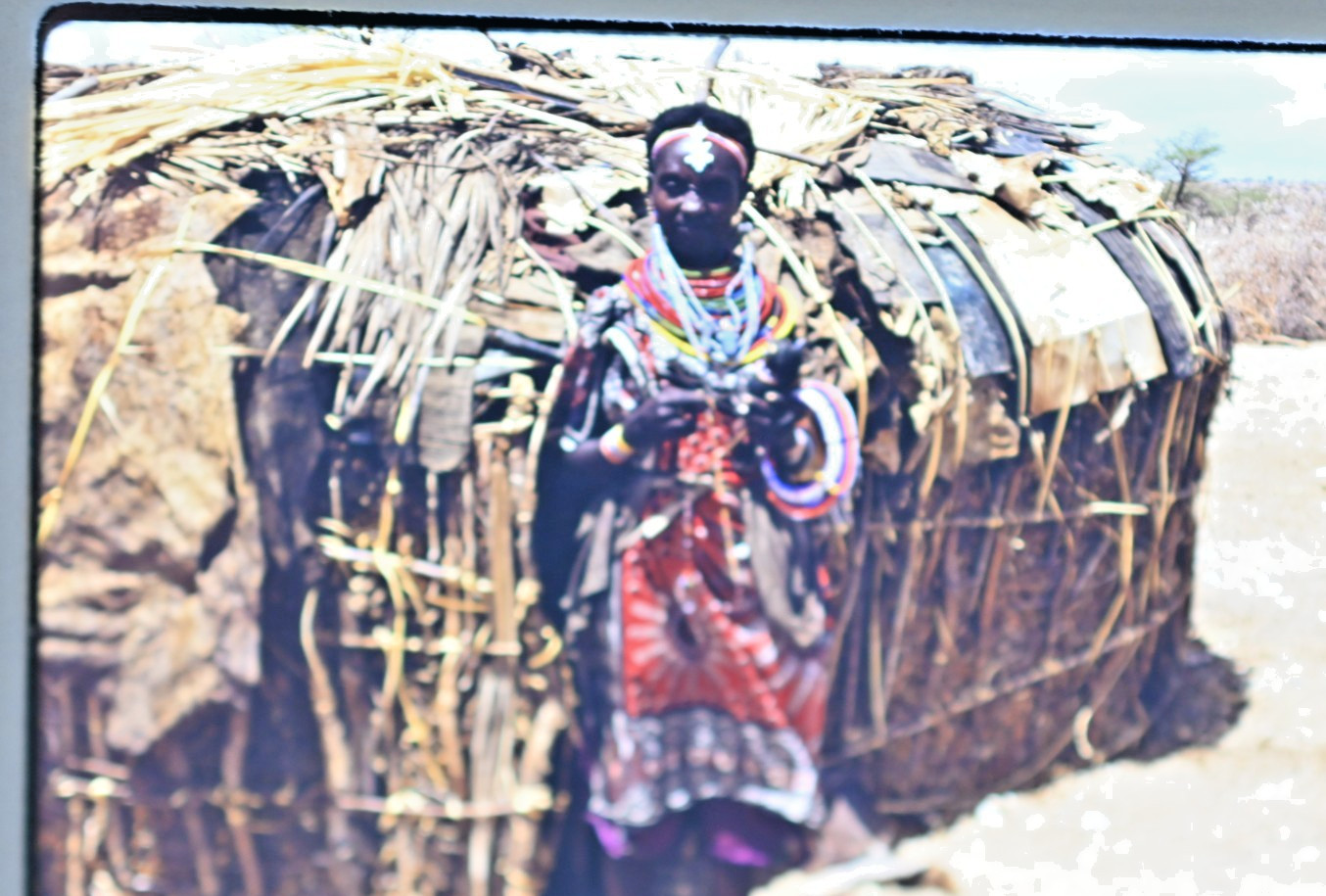 Vintage 1986 Kenya Safari Slides 120 Lot Wildlife Tribal Photo