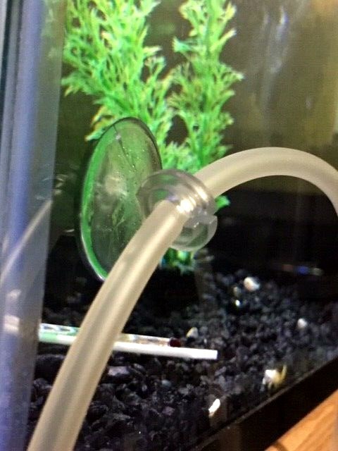 50X AQUARIUM CLEAR AIR LINE SUCTION CUPS STANDARD SIZE TUBING