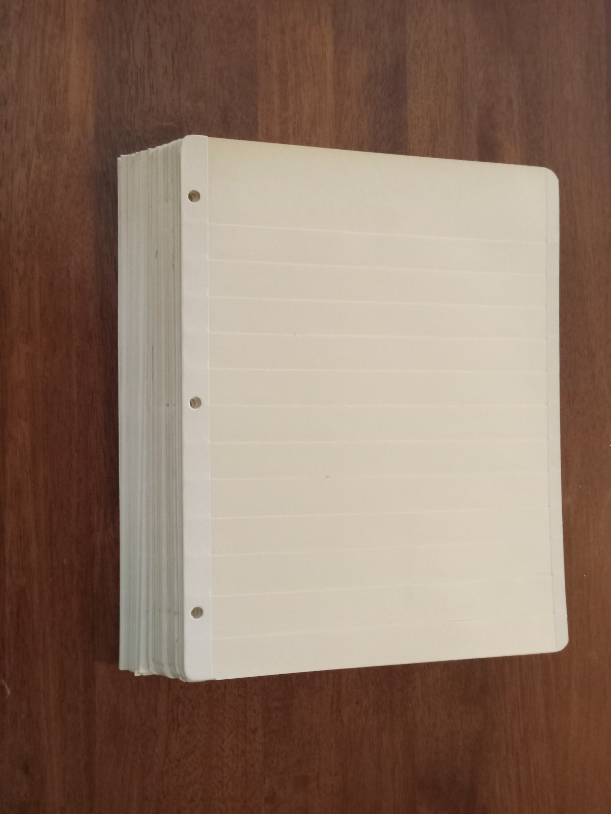 30 MANILA STAMP STOCK PAGES - 3 RING/ 12 ROWS - PREOWNED BUT EXCELLENT CONDITION