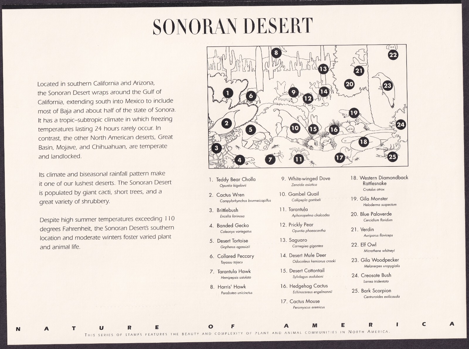 Scott #3293 Sonoran Desert (Nature Series) Sheet of 10 Stamps - MNH