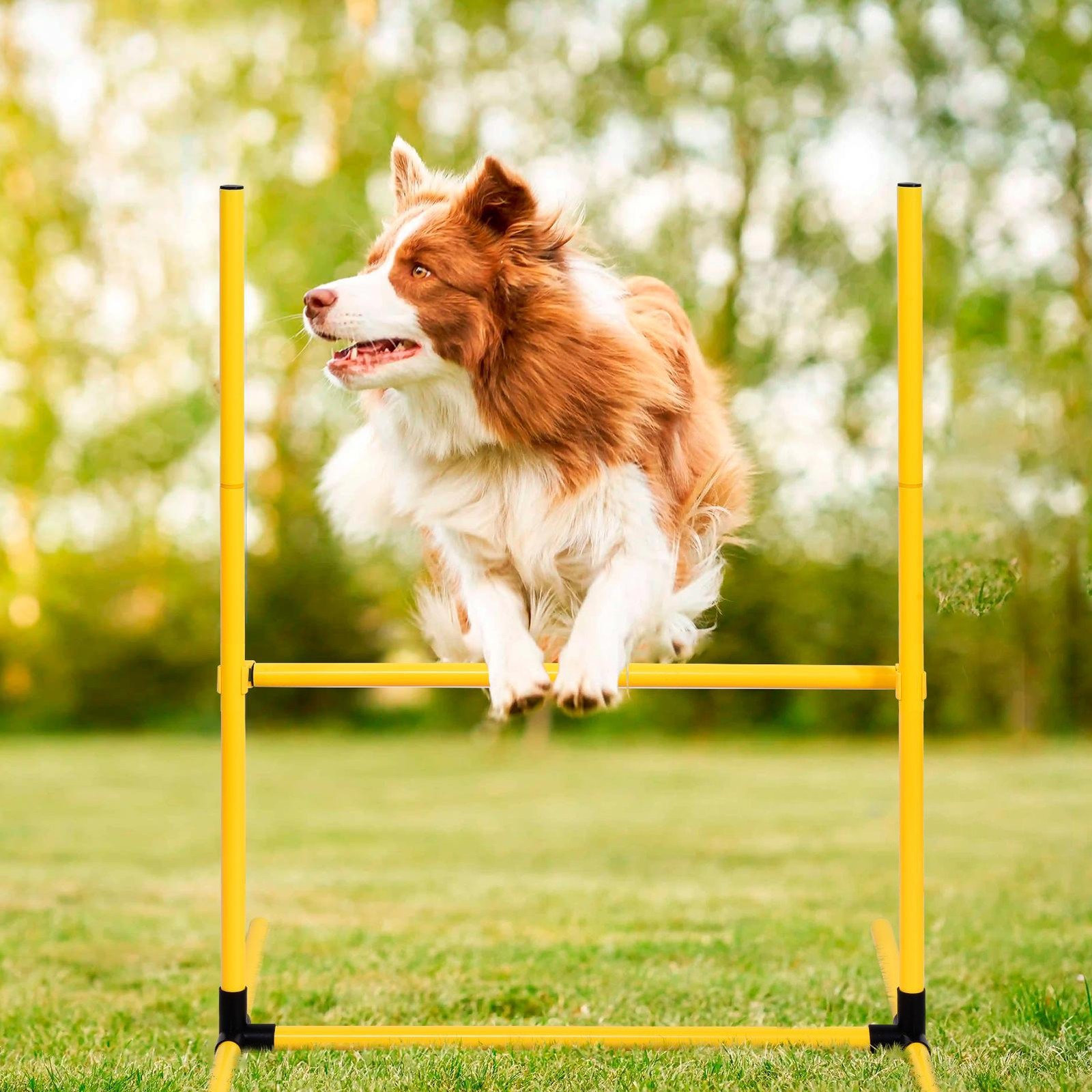 Outdoor 5 PCs Dog Pet Agility Training Equipment Backyard Starter Course Set--
