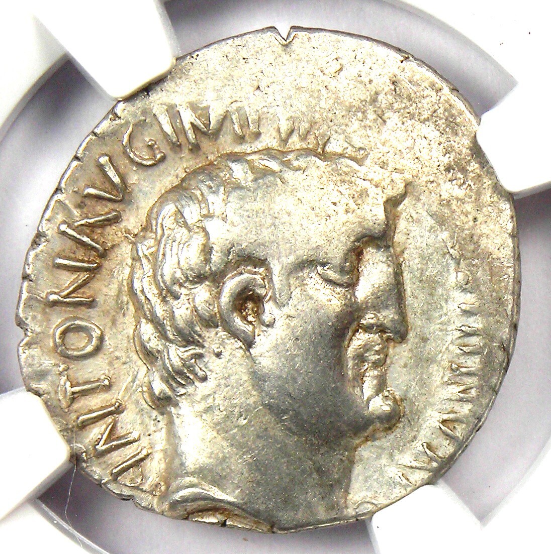 Marc Antony AR Denarius Portrait Silver Coin 33 BC - Certified NGC XF (EF)