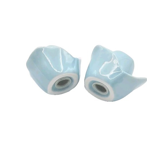 Blue Roses Ceramic Flowers Salt And Pepper Shakers NEW Cordon Bleu Inc