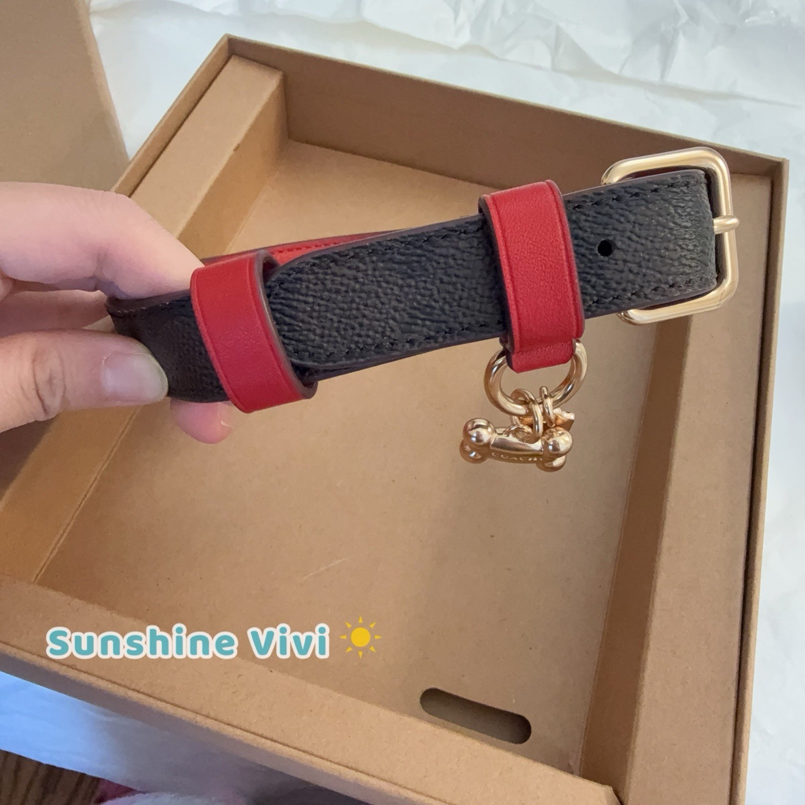 NWT Coach Boxed Medium Pet Collar In Signature Canvas CX157 Gold/Walnut/Bold Red