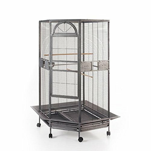 Seny Corner Bird Cage for Cockatiel Parakeet Budgies Parrot New