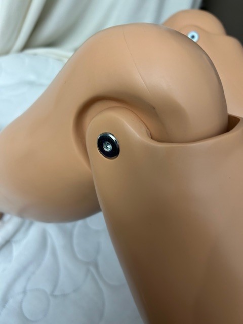 Gaumard Simple Susie Nursing Care Training Patient Simulator Manikin Mannequin