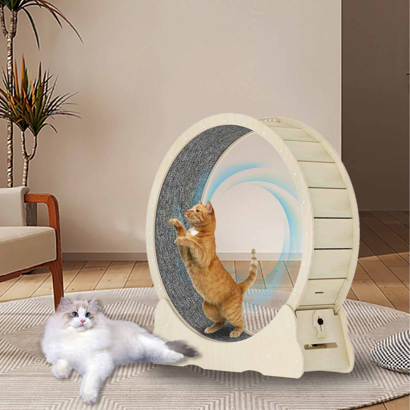 Cat Exercise Wheel Solid Wooden Cat Treadmill Running Wheel Cat Sport Kitty Toy