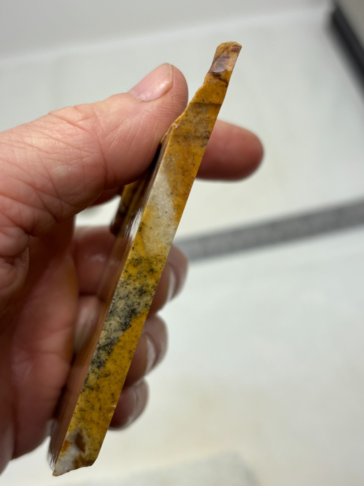 Disaster Peak Picture Jasper Slab Cabbing Lapidary Collecting Combo Ship Avail