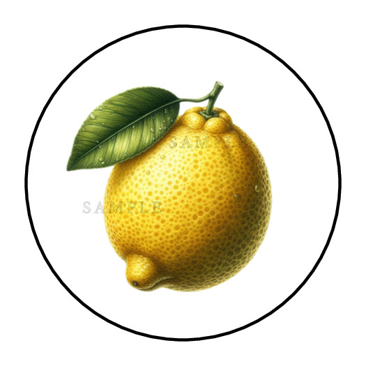 Lemon Fruit stickers labels tags envelope seals party favors