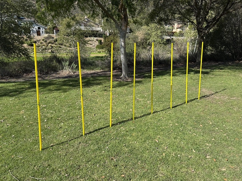 BlueDot Trading Soccer Agility Training Poles for Multi-Sport Outdoor Games, ...