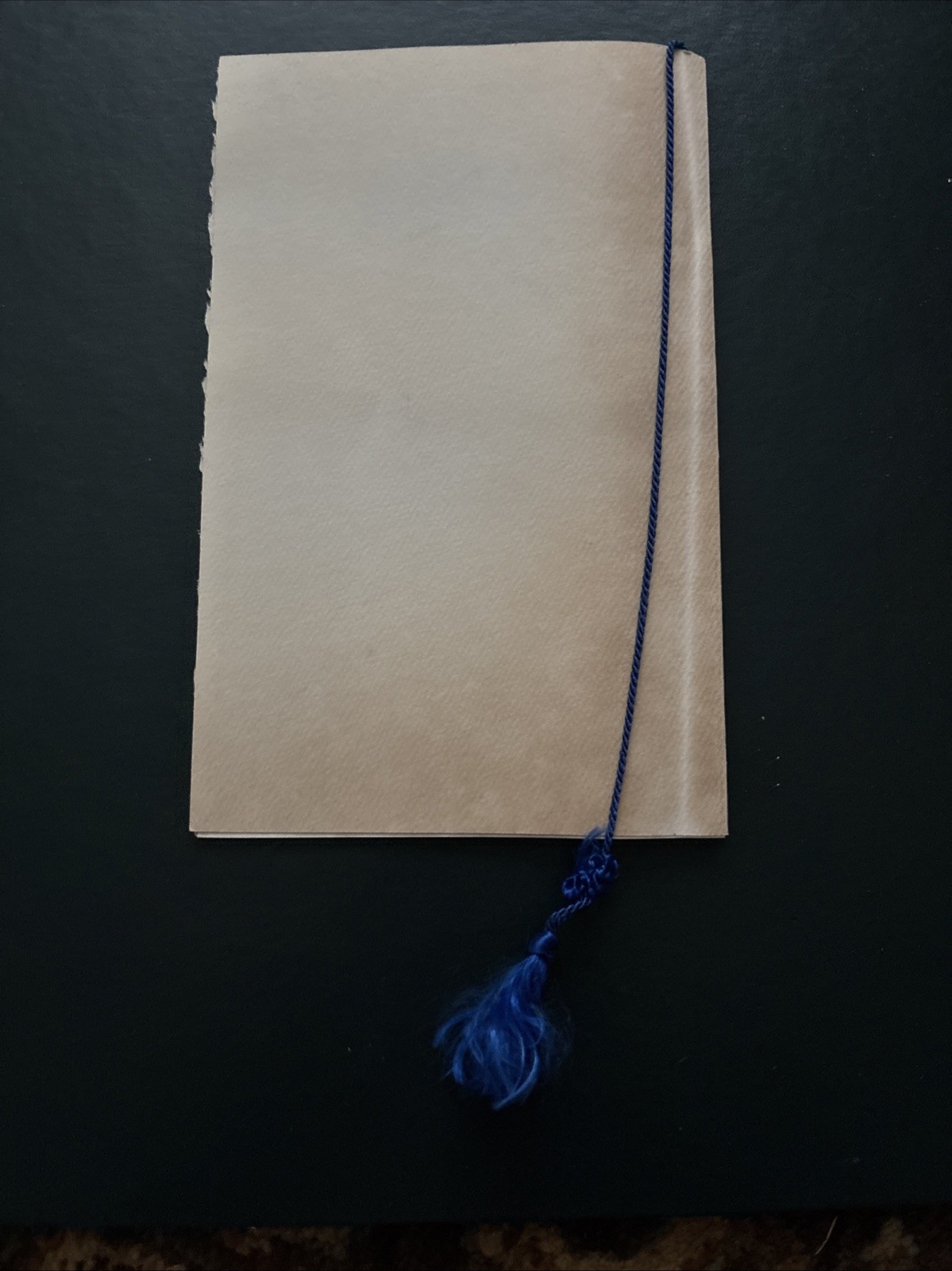 1982 Ronald Reagan White House Arrival Ceremony Program Prime Minister of India