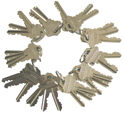 40 Pieces Precut Schlage 5 Pins SC1 Keys Locksmith 10 Sets of 4 Same Key Alike
