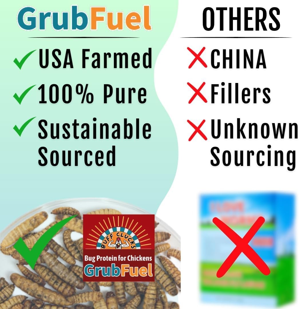 Buff Clucks Grub Fuel Black Soldier Fly Larvae for Chickens - Nutrient-Packed