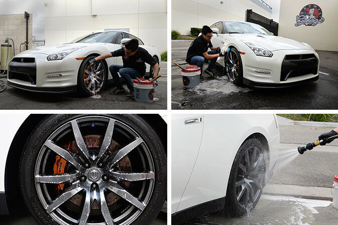 Chemical Guys SPI21516 - DeCon Pro Iron Remover (16 oz)