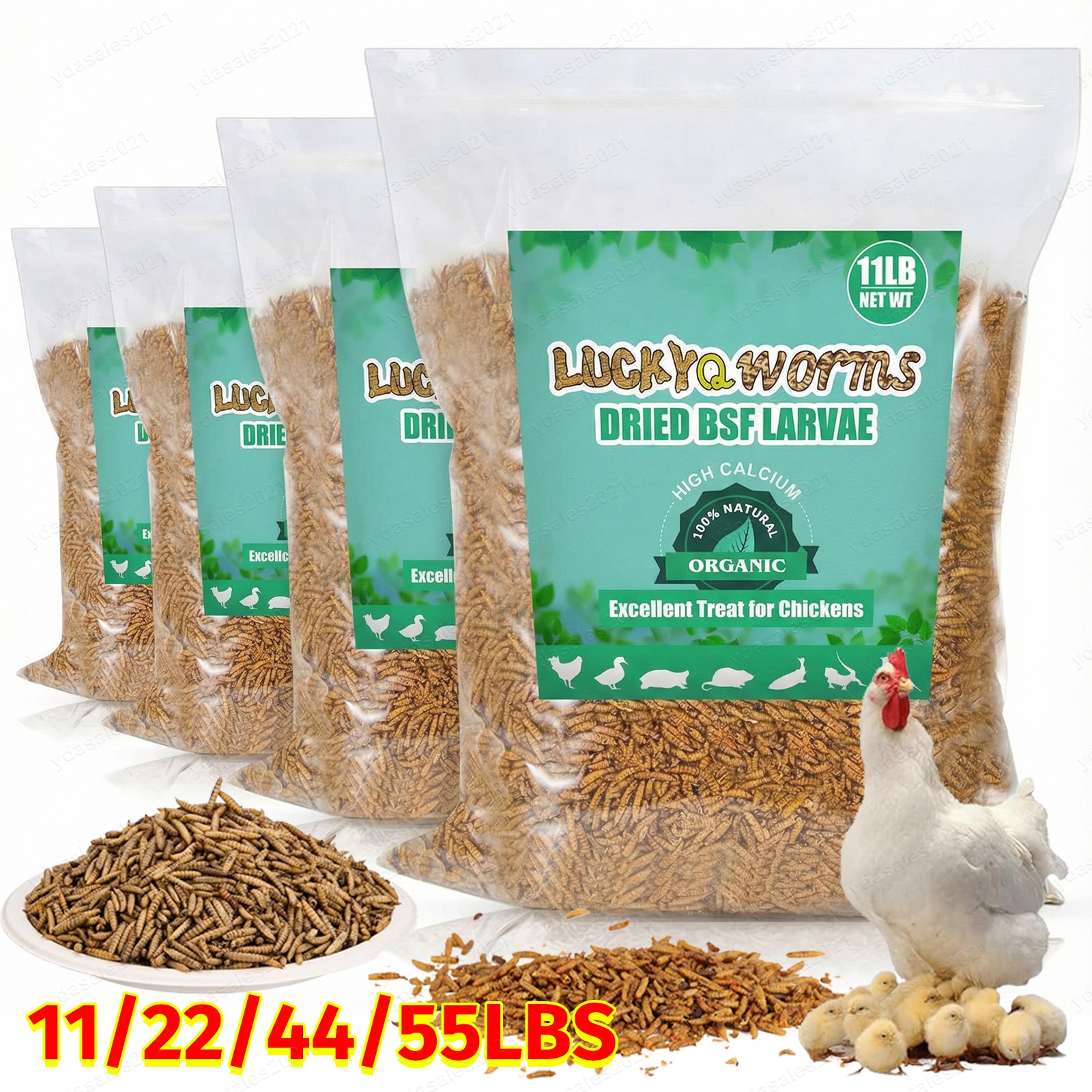 5-44LB Dried Black Soldier Fly Larvae for Chicken Feed Birds Treat Mealworm Lot