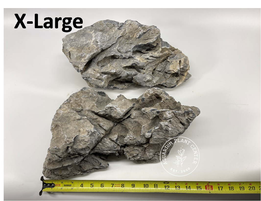 Seiryu Stone / Planted Aquarium / Decoration / Hardscape / Aquarium