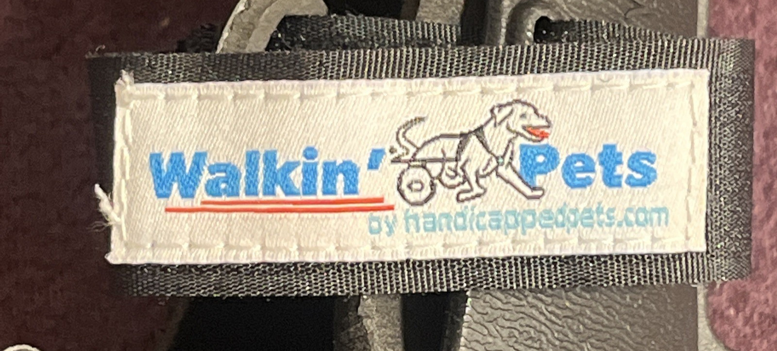 Walkin’ Pets Walkin’ Fit Adjustable Splint Extra Large Dogs