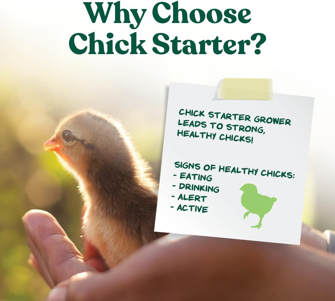 NEW Chick Starter Grower - Medicated Chick Feed Crumble for Young Chickens