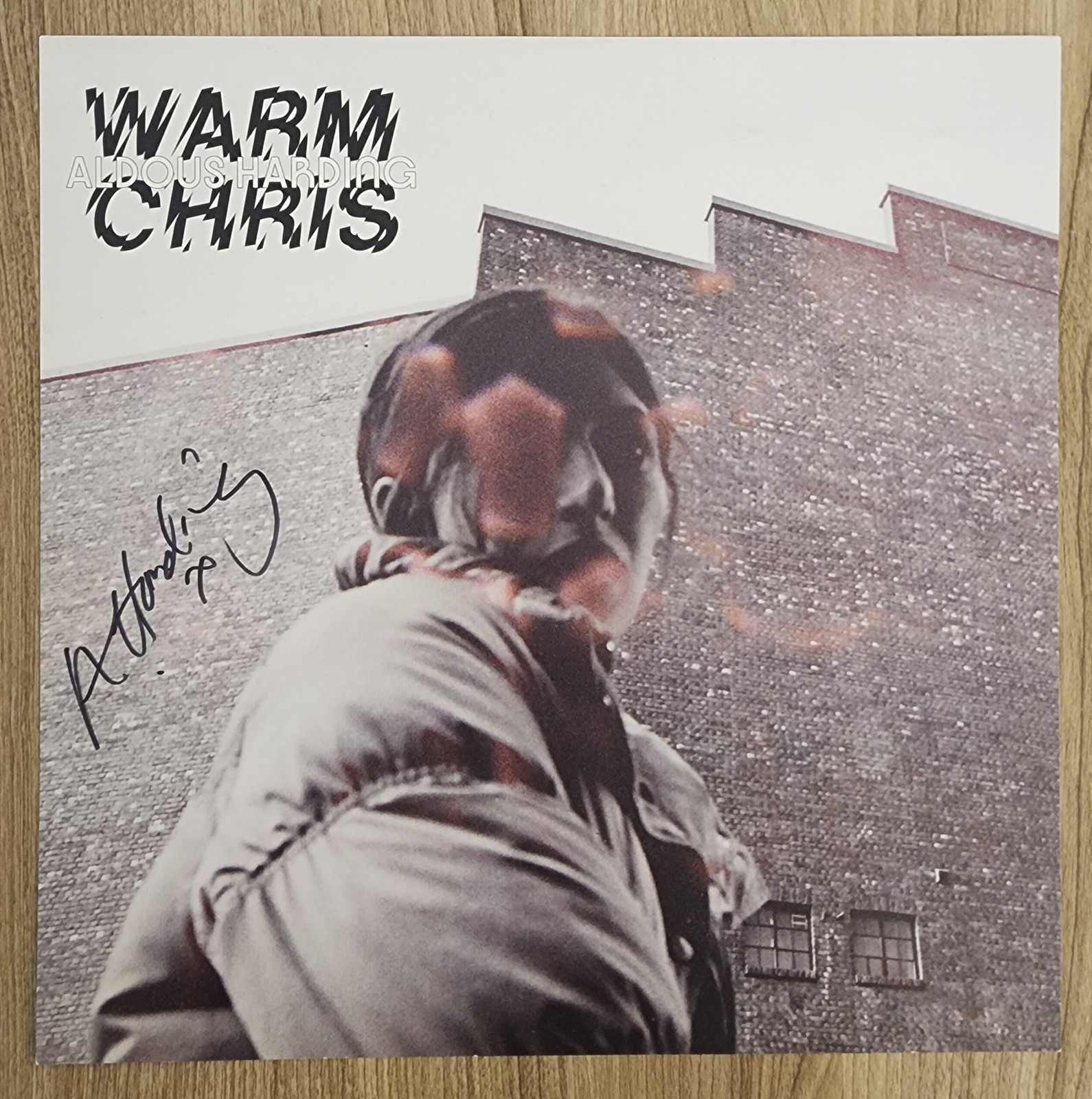 Aldous Harding Signed Warm Chris 12"x12" Album Flat Art Print RAD