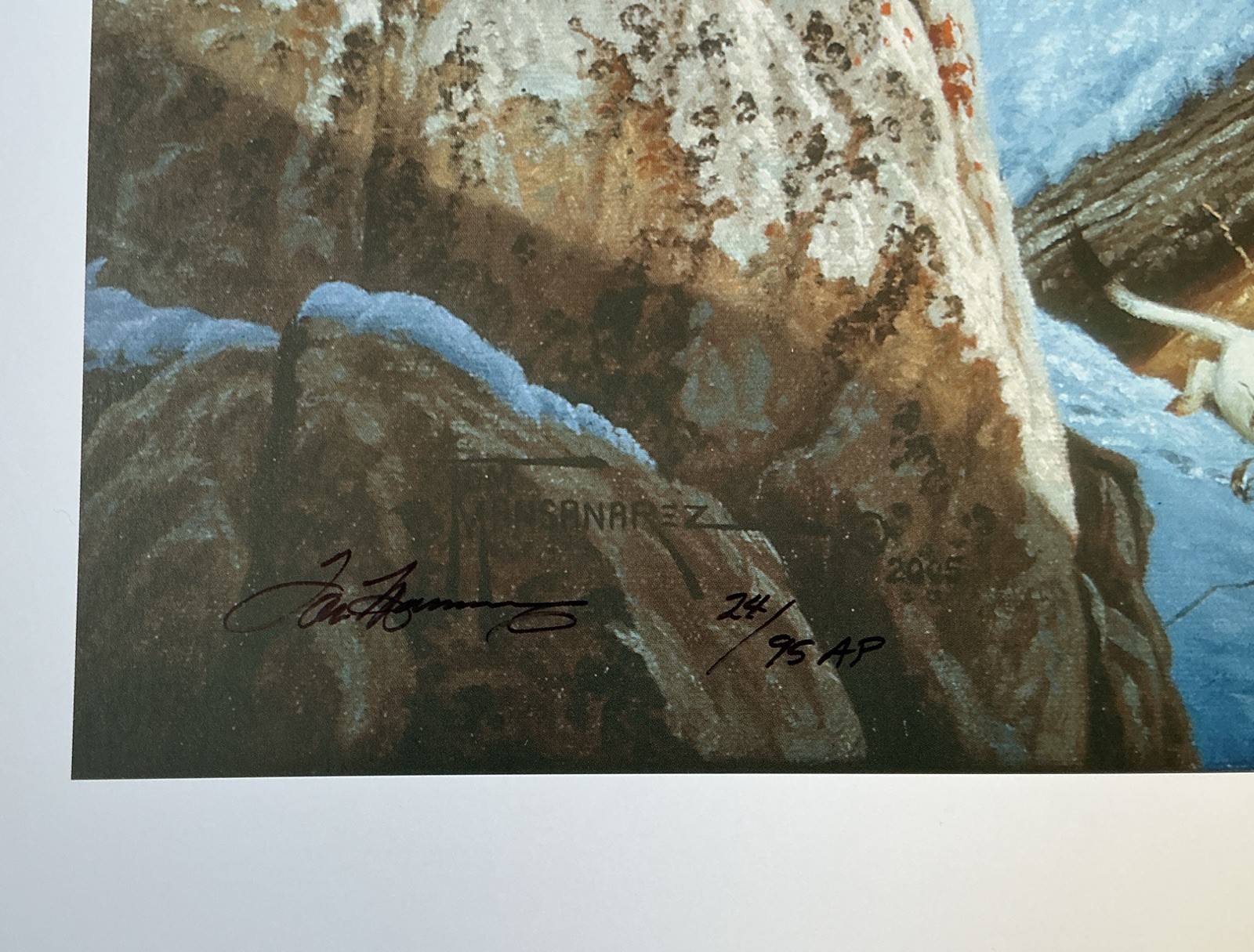 BREAKING COVER - Print By Wildlife Artist Tom Mansanarez - Signed & Numbered