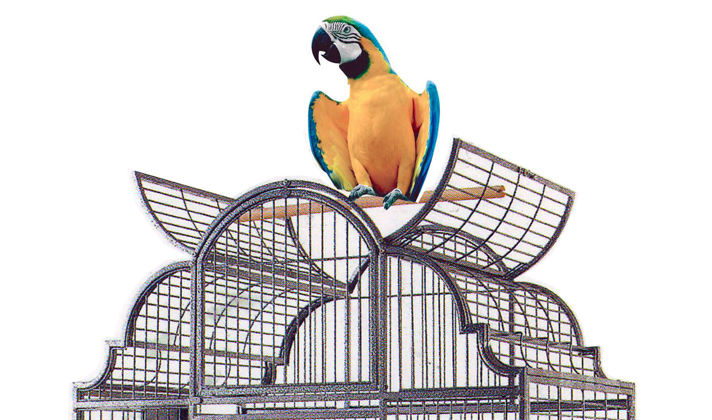 Large Stylish Open Dome Play-Top Perch Stand Parrot Macaw Cockatoo Rolling Cage