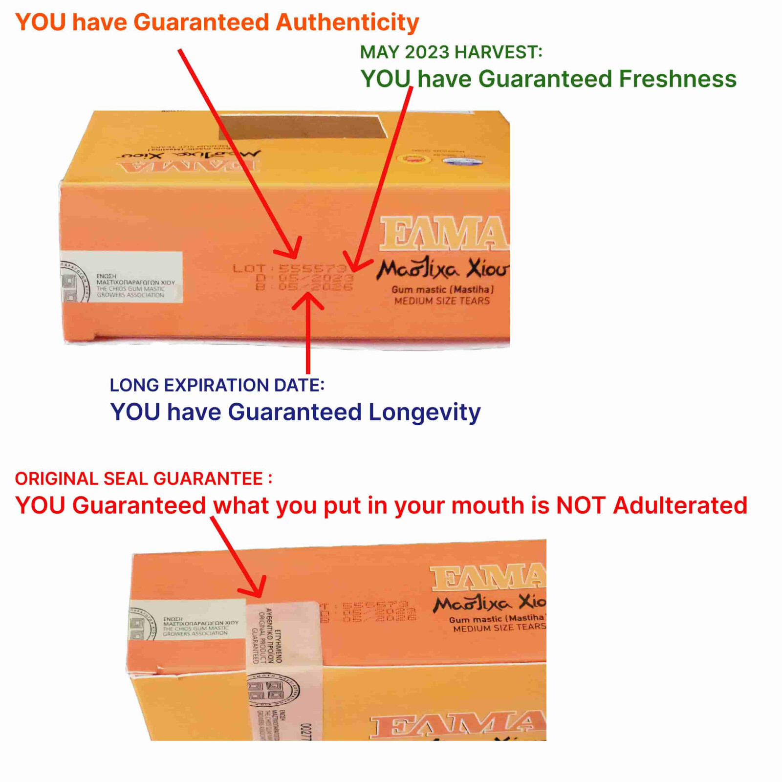 TOP GRADE Organic MASTIC GUM 25Gr (0.88Oz) Greek Chios Mastica Masticha Mastixa