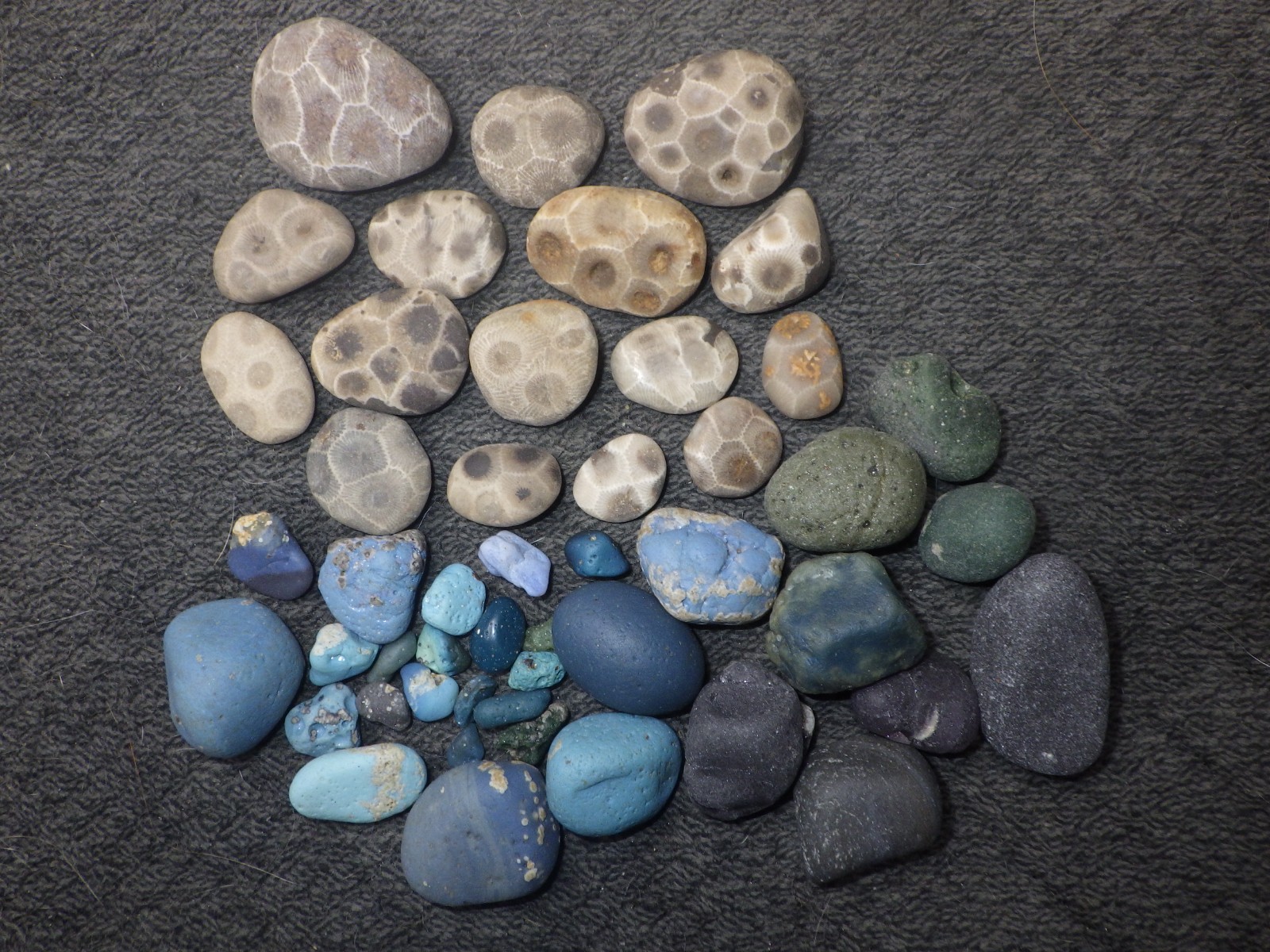 Tiny Petoskey Stones and Leland Blue Stones