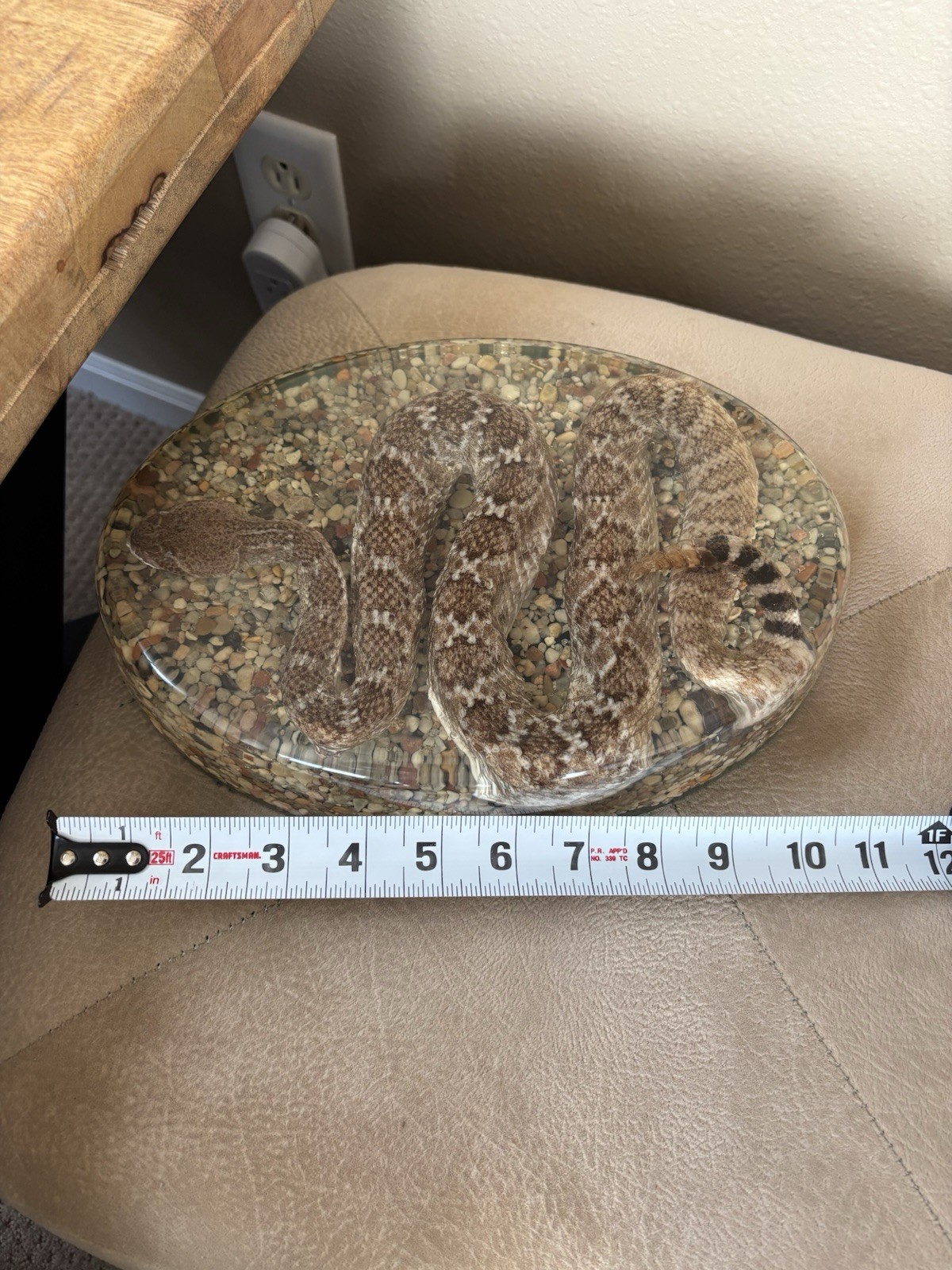 Diamondback Rattlesnake In resin lucite