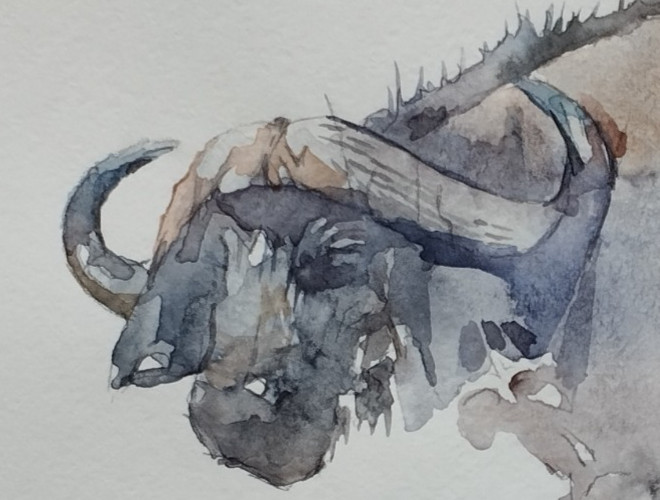 Buffalo, Animal, Watercolor artwork, Handmade, Original painting on paper