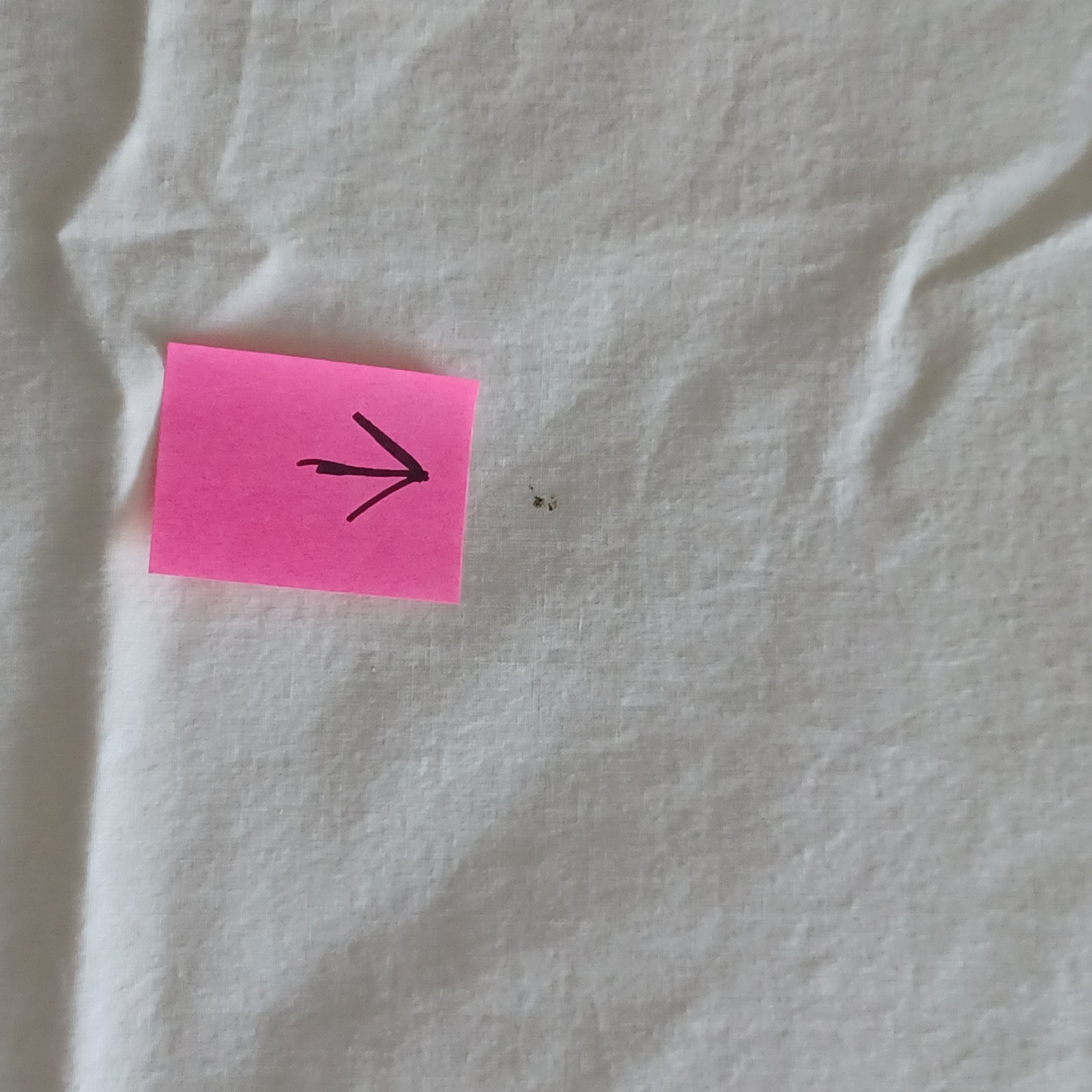 Pottery Barn Roxy Rainbow Organic Cotton Twin Duvet Cover w/ Flaws