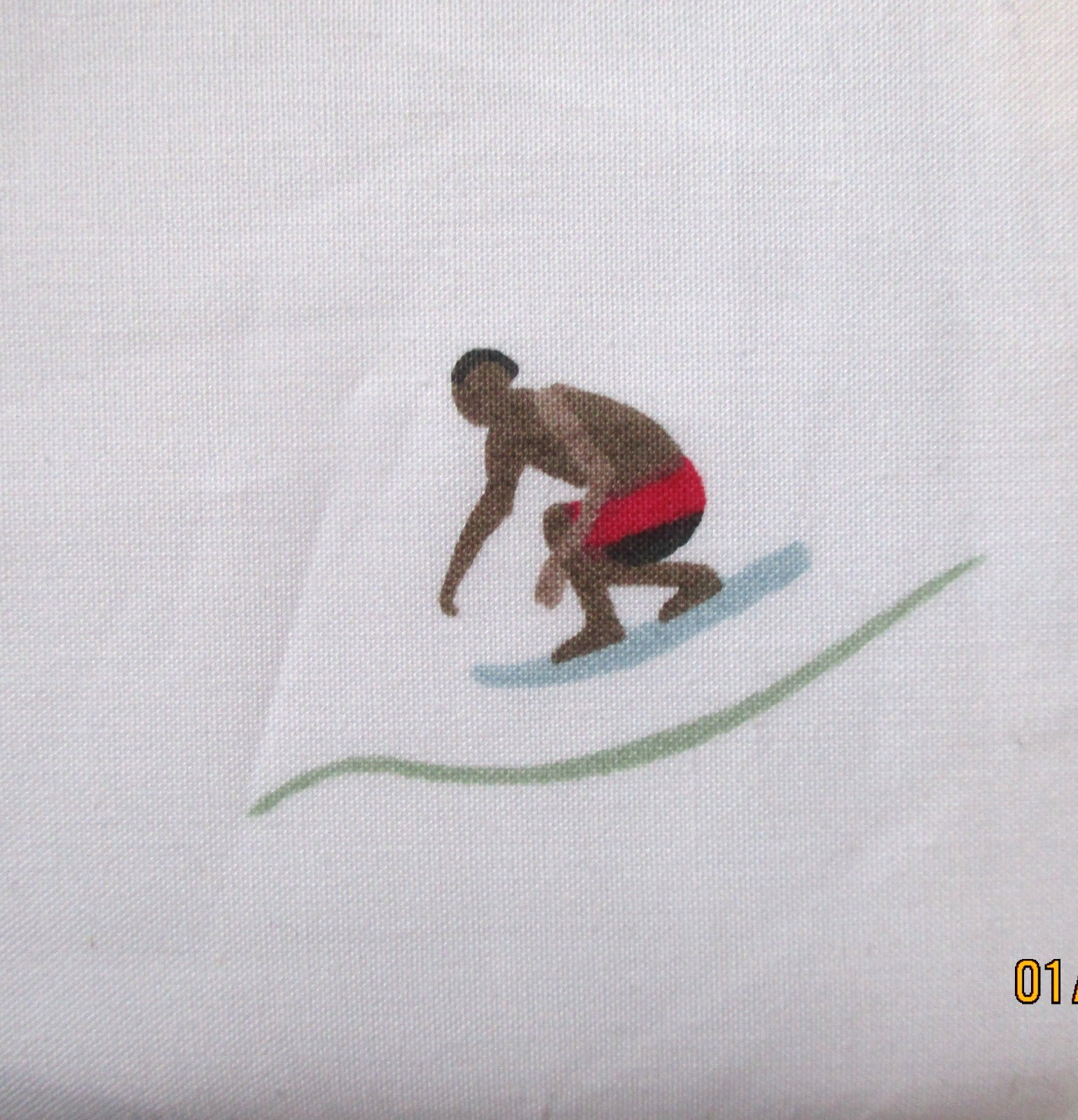 Pottery Barn Teen Surfer Organic Sheet Set Twin