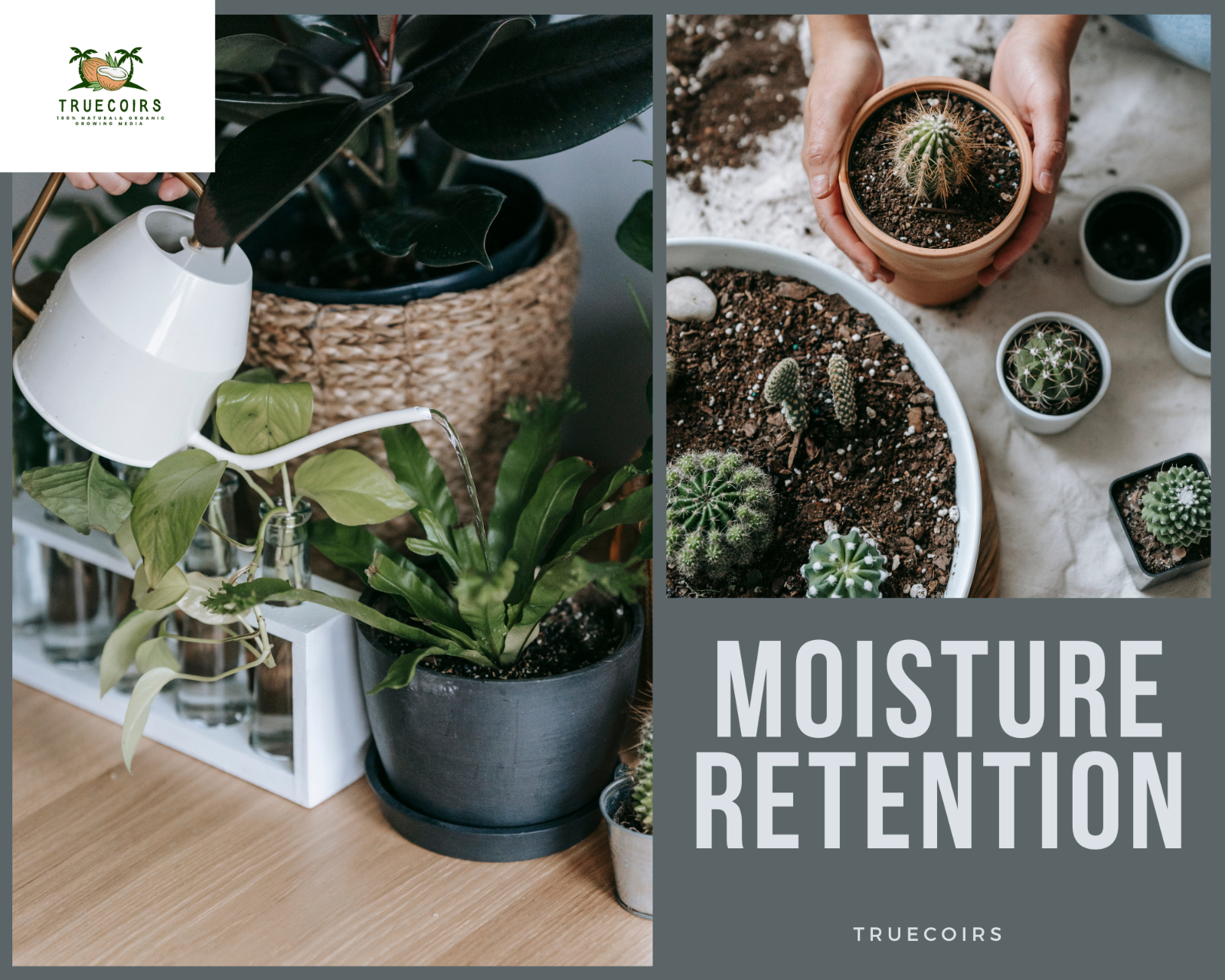 10LB/1.4LB CocoCoir Brick Coconut Fiber Potting Soil Plant Organic Growing Media