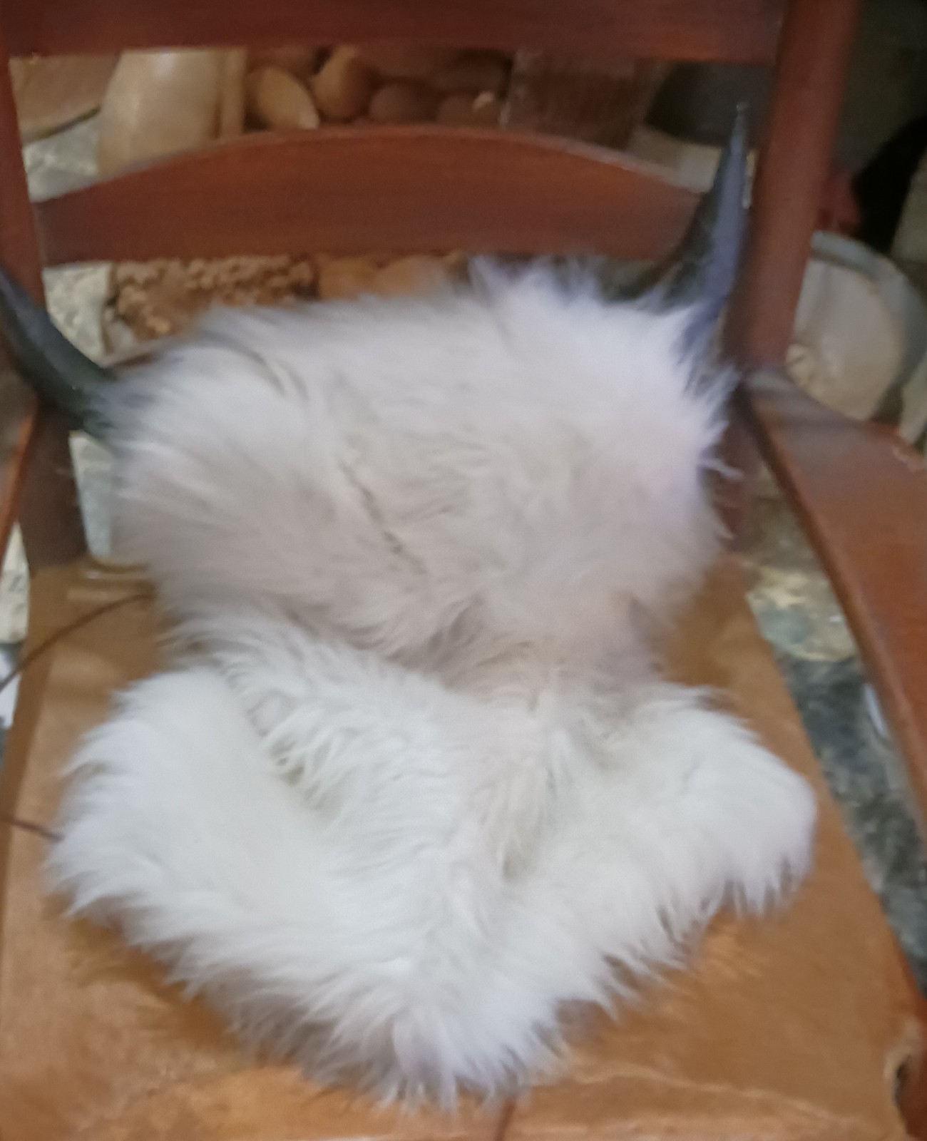 *AWESOME NATIVE AMERICAN WHITE BUFFALO HEAD DRESS LORETTA BEYUKA NICE HTF !*