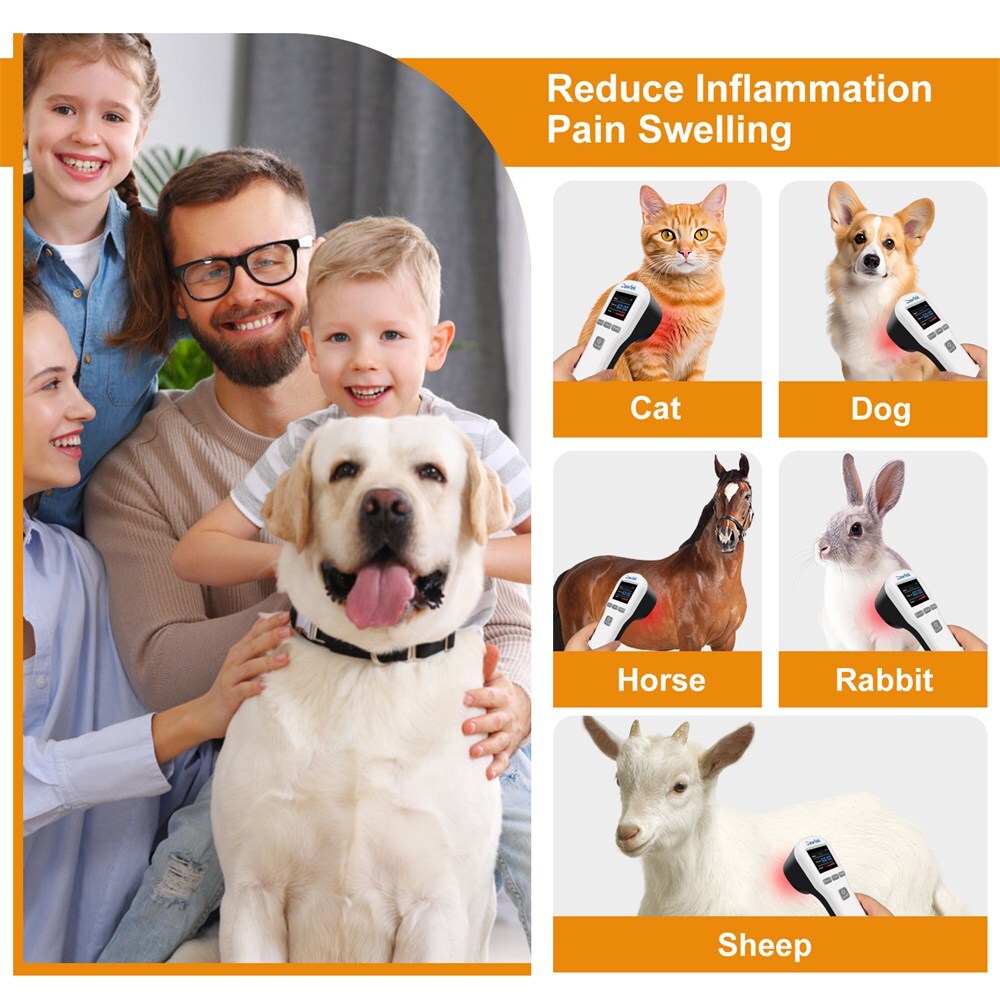 Cold Laser Therapy for Human and Pets Red Light Physiotherapy for Pain Relief