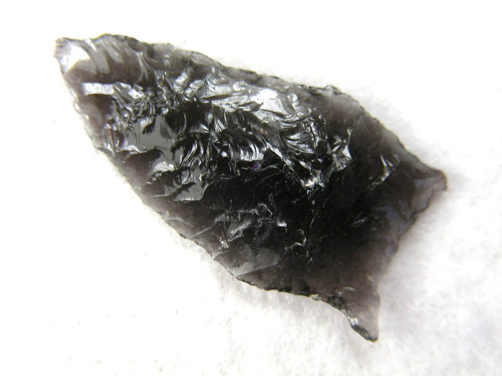 BUCHANAN EARED 1-1/4" NEVADA Authentic Indian Relics