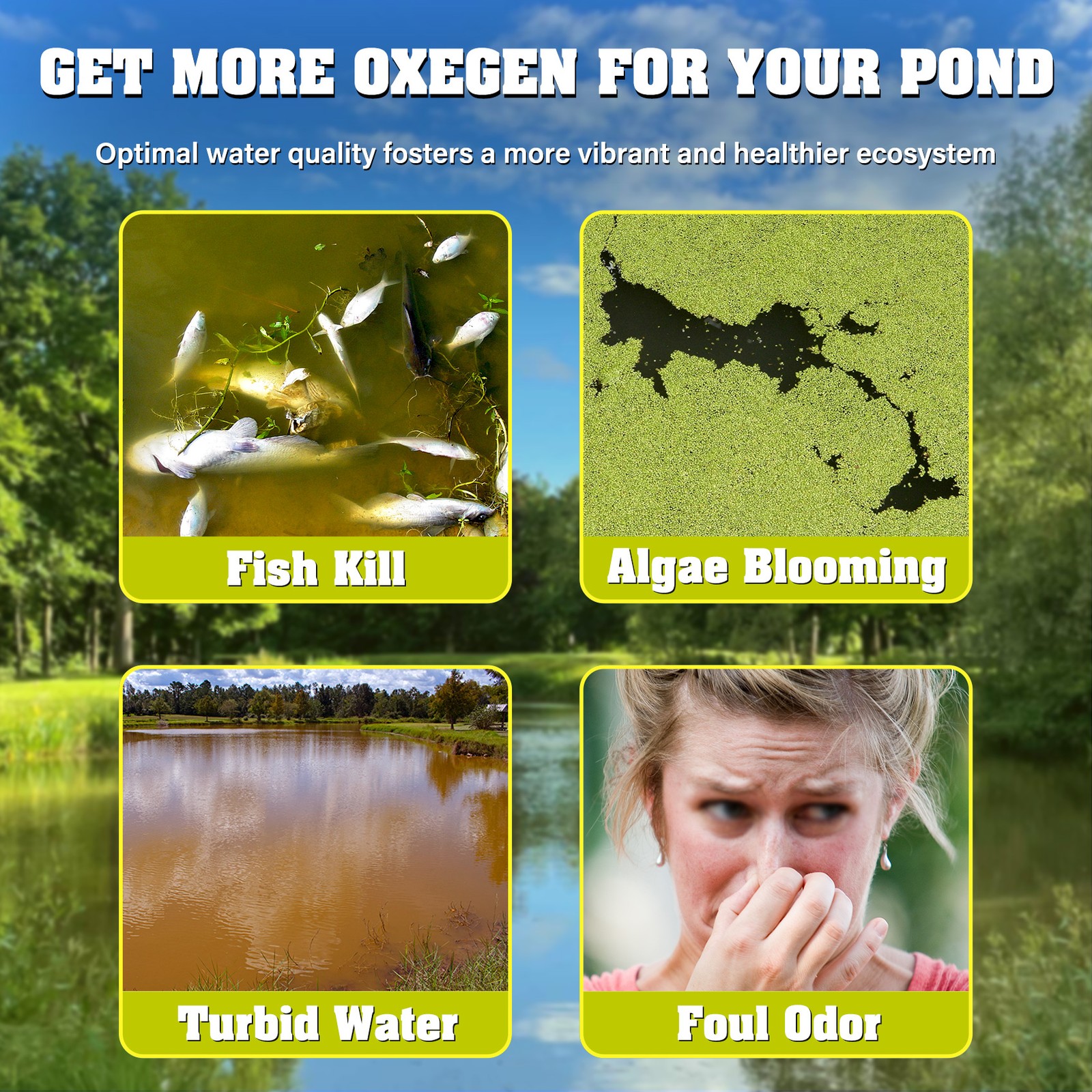 750W Pond Aerator 5.35CFM Lake Compressor Air Pump Aeration Diffuser Kit