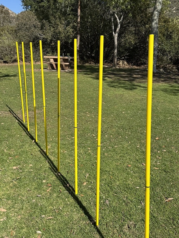 BlueDot Trading Soccer Agility Training Poles for Multi-Sport Outdoor Games, ...