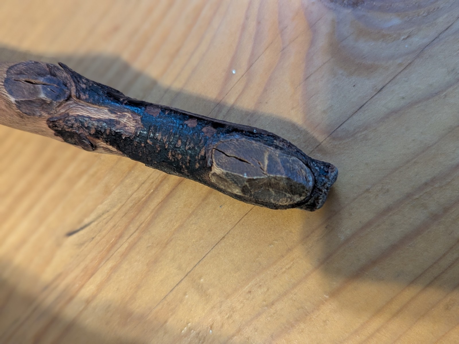 Native American 🔥 Eastern Woodland 🔥War Clubs 💥 Ball Root Burl 🤩 18th 19th C