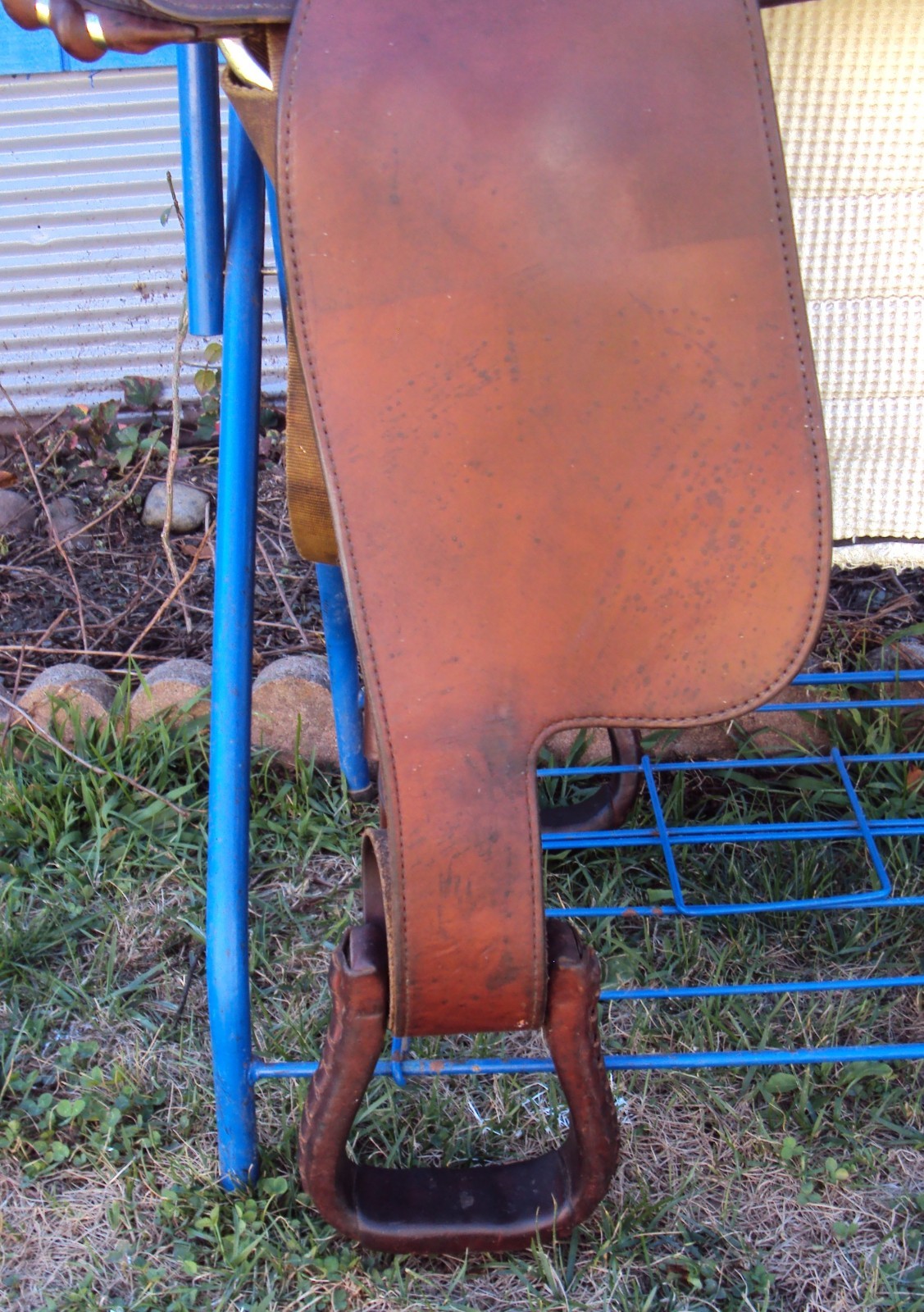 CIRCLE Y Western Show Saddle - 15" - SILVER CONCHOS - Padded Seat - BEAUTIFUL!