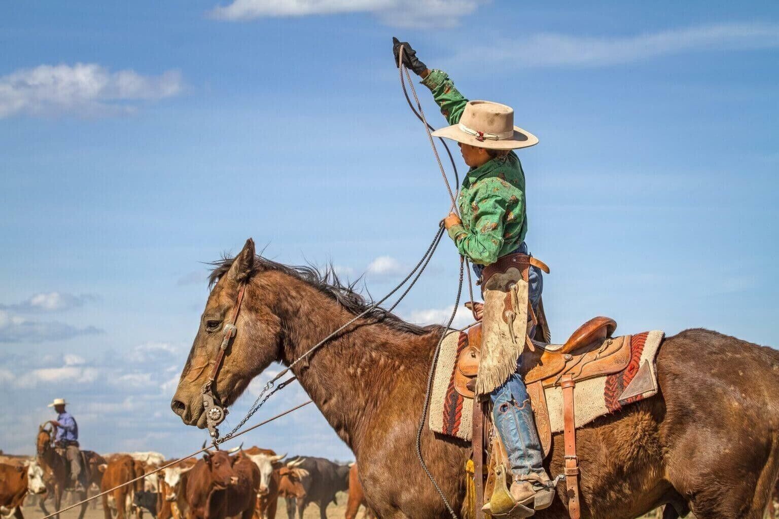 TURQUOISE n BLACK 10 Plait Pryor ParaCord Hondo w/ Bull Rawhide Burner Buckaroo