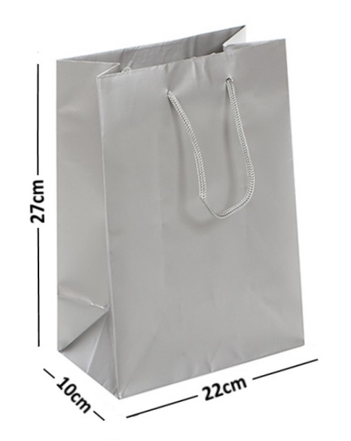 LARGE SILVER LAMINATED GLOSS BAGS ROPE HANDLE BIRTHDAY GIFT BAG 22x10x27cm