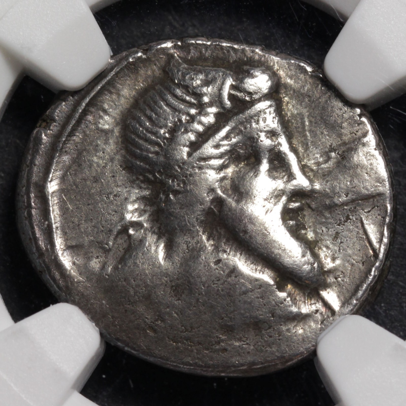 Pegasus Denarius Ancient Roman Republic Silver Coin 90BC NGC VF Titius