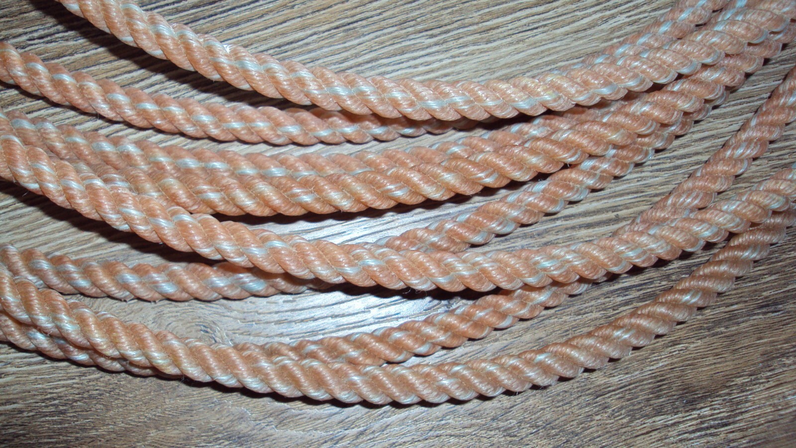 New Lariat Cactus Rope #3 Soft Magnet