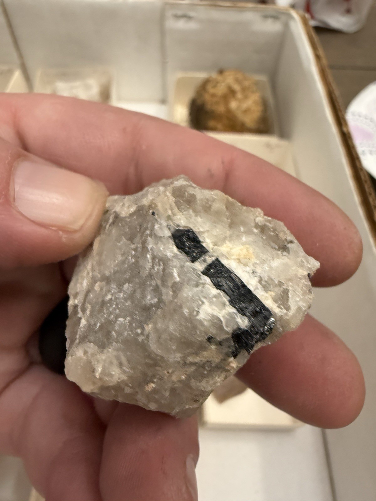 over 20 tourmaline specimens pala chief mine ca little three