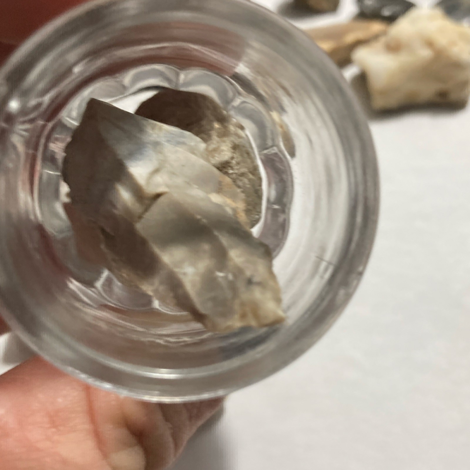 Assorted Rocks Minerals Lot with Garden of the Gods Colorado Mug or Shot Glasses