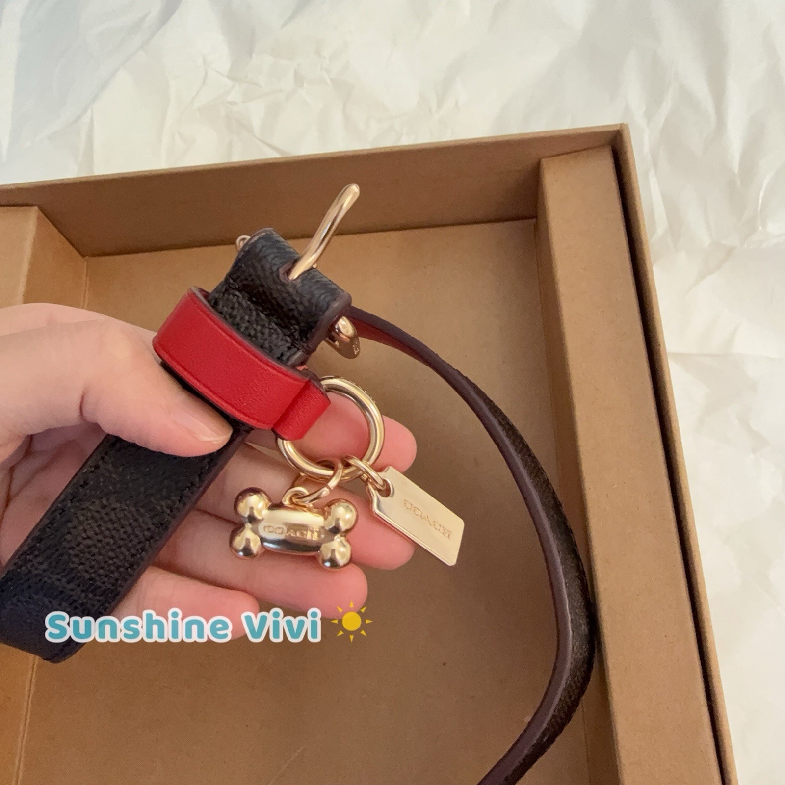 NWT Coach Boxed Medium Pet Collar In Signature Canvas CX157 Gold/Walnut/Bold Red