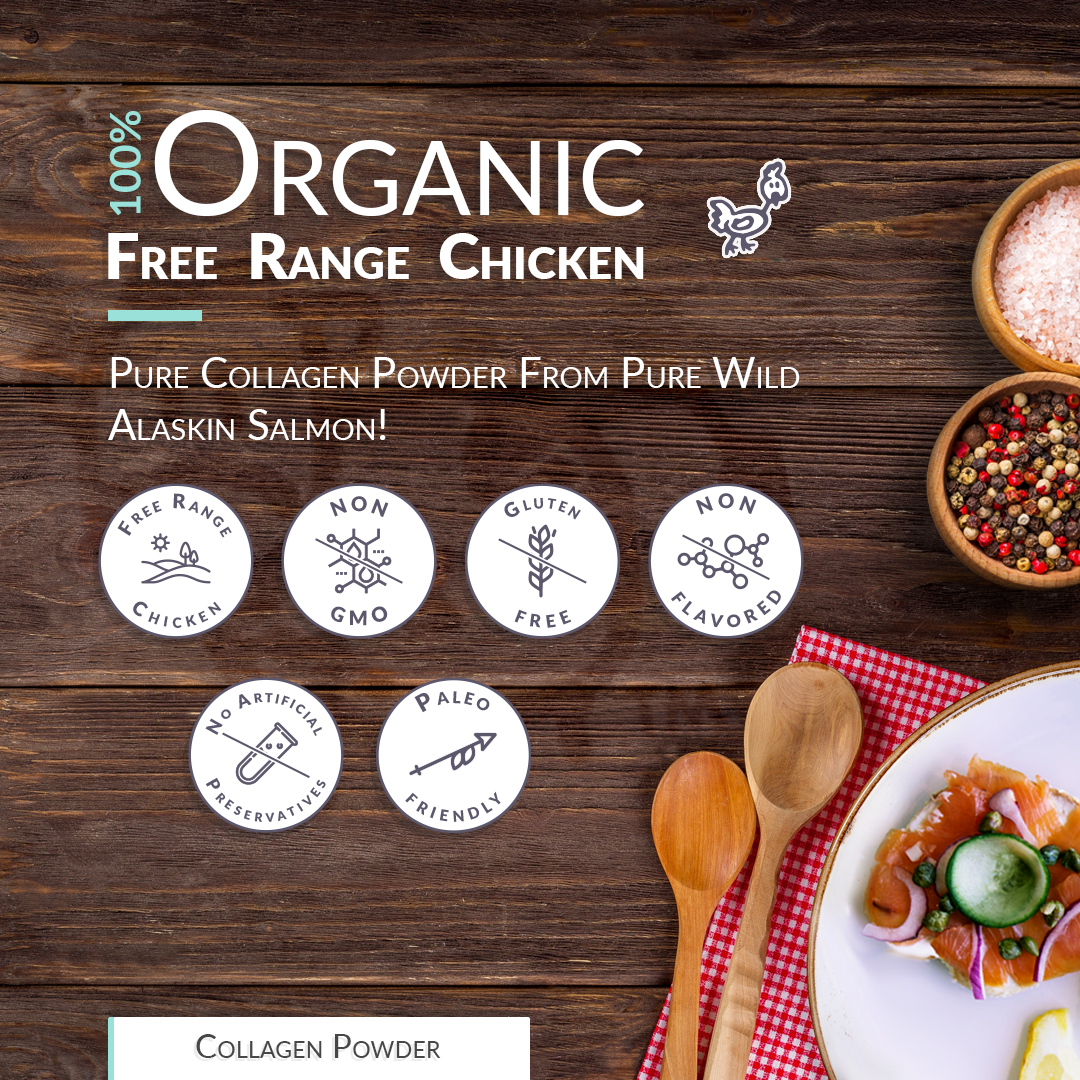 Chicken Bone Broth Collagen Powder - Pure Organic Protein - Free-Range