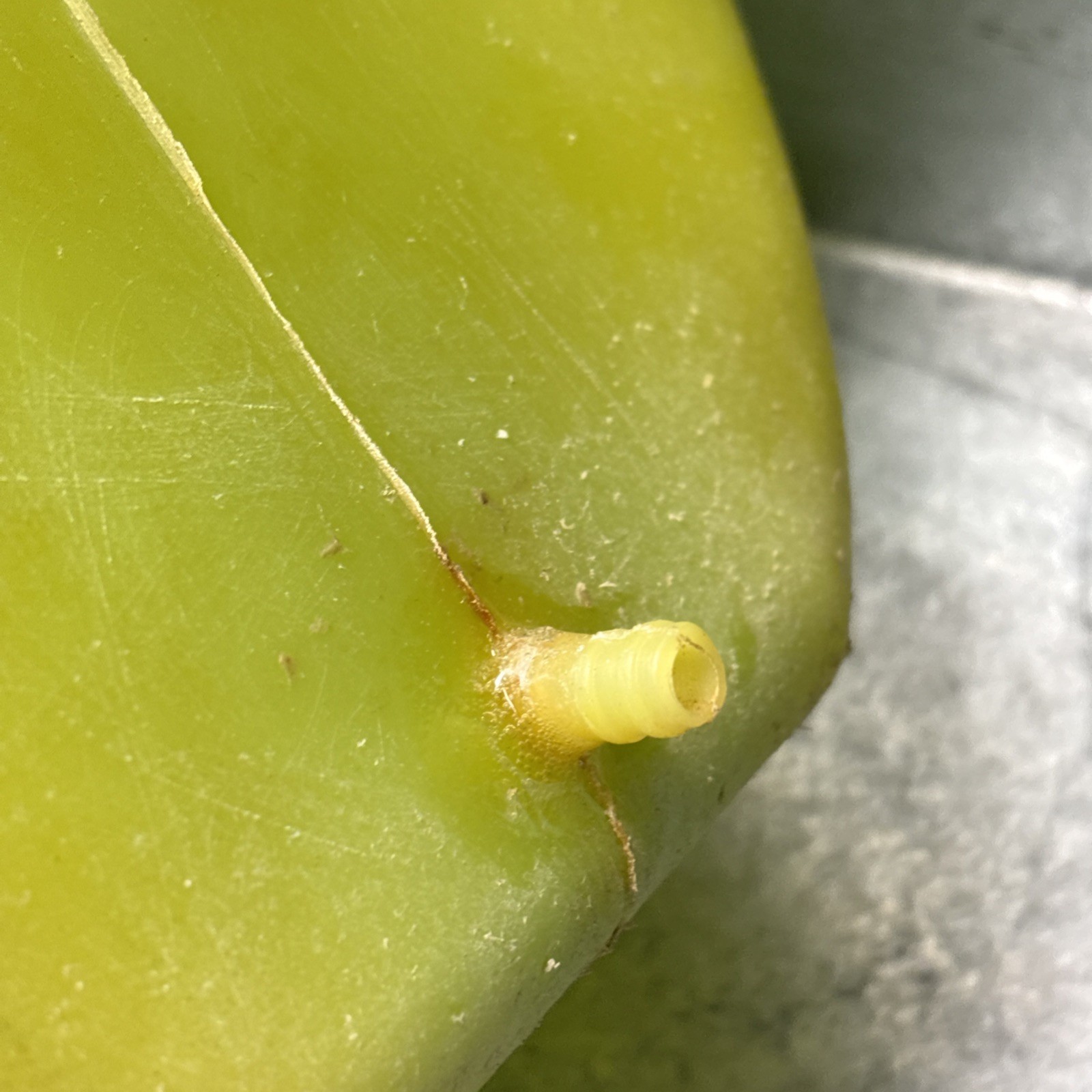 Kawasaki OEM 1981 1982 1983 KLT200 KLT 200 Gas Fuel Tank 51001-4003